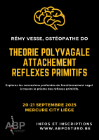 Théorie polyvagale, attachement, réflexes primitifs
